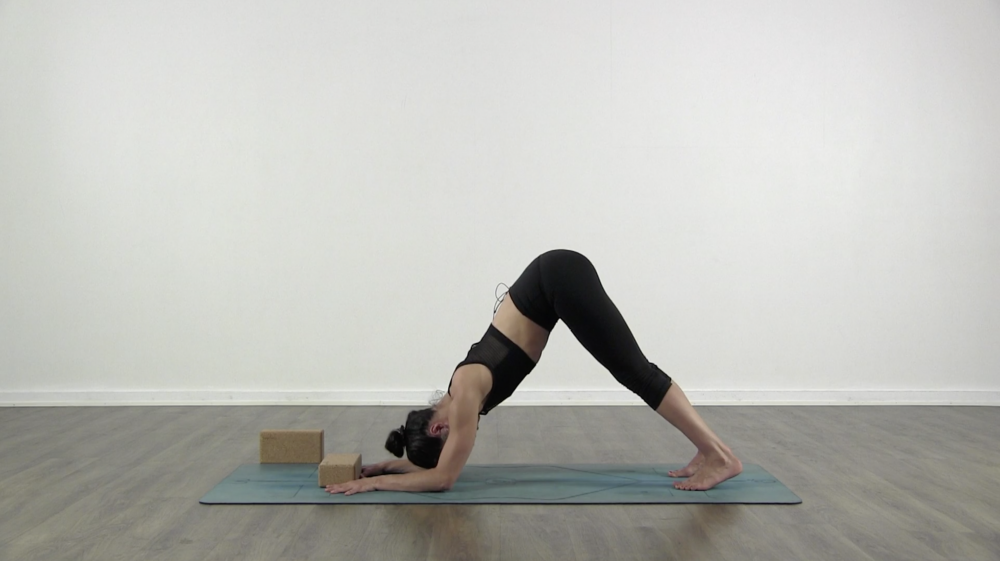 Shoulder stability_0