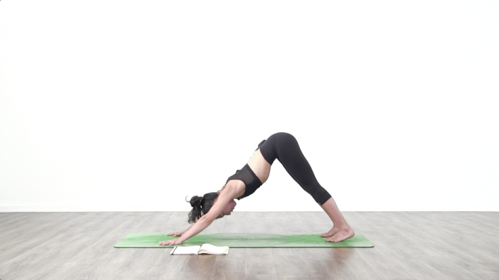 Vinyasa Fundamentals Day 1_1