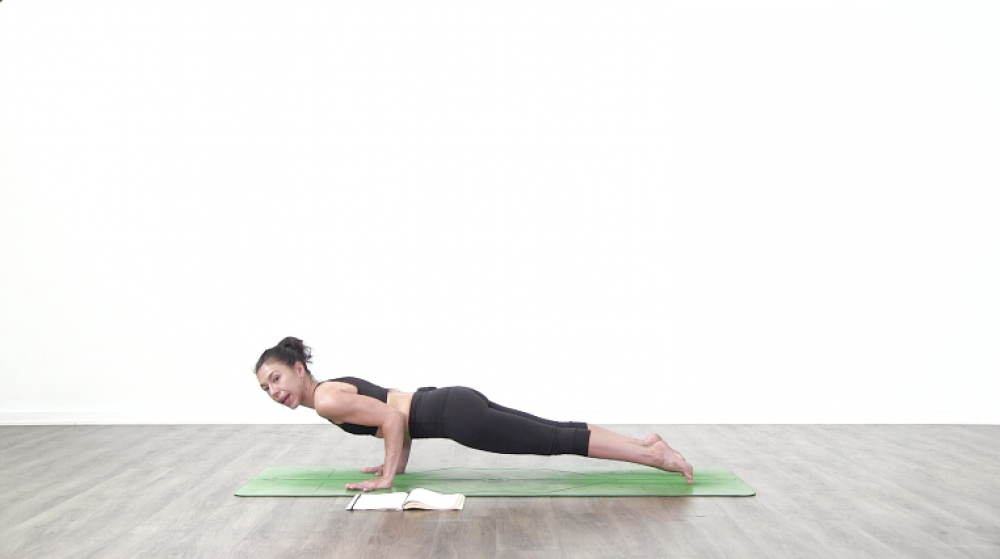 Vinyasa Fundamentals Day 2_1