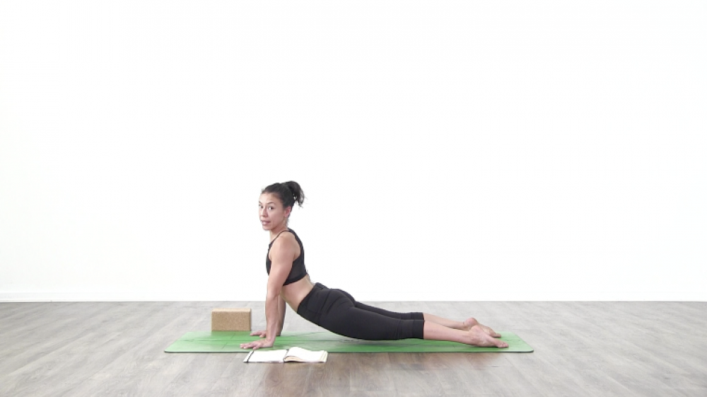 Vinyasa Fundamentals Day 2_2