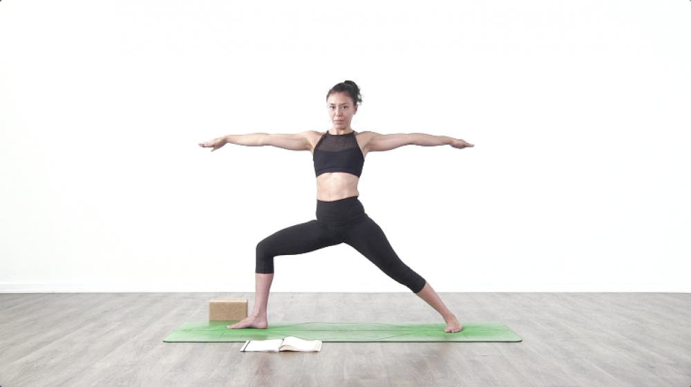 Vinyasa Fundamentals Day 3_0
