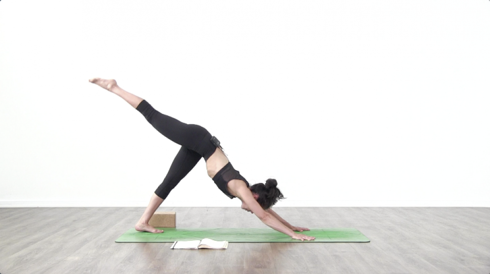 Vinyasa Fundamentals Day 4_0