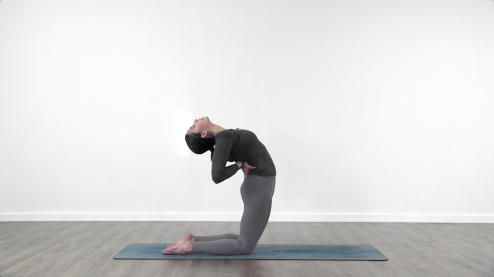 Yoga Roll_1