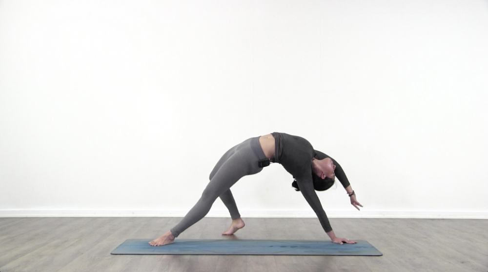 Yoga Roll_2