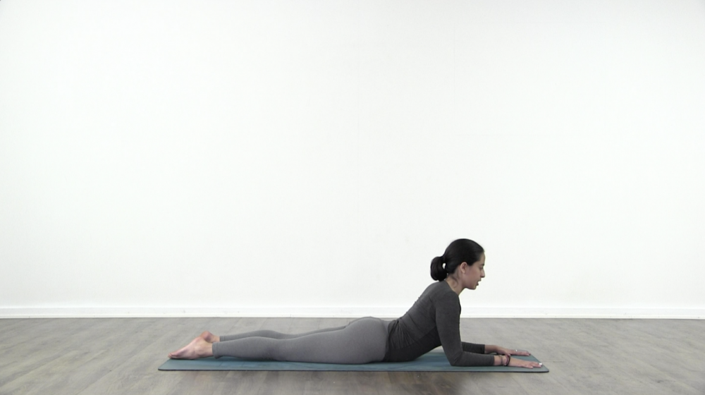 Twisted Plank_1