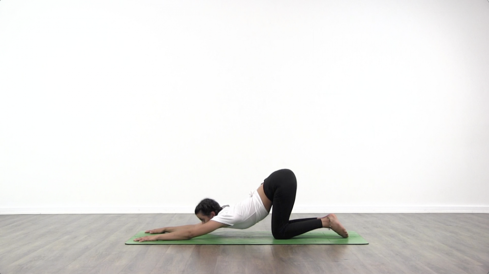 Pincha Mayurasana Tutorial_2