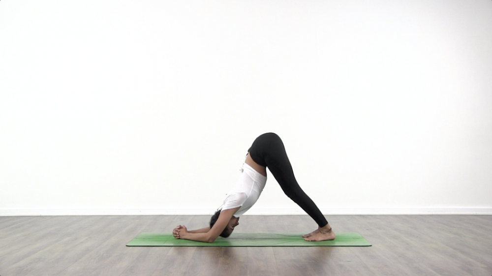 Pincha Mayurasana Tutorial_1