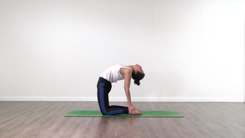 Kapotasana Preparation_0
