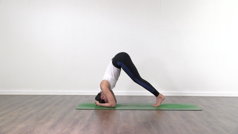 Headstand Preparation_2