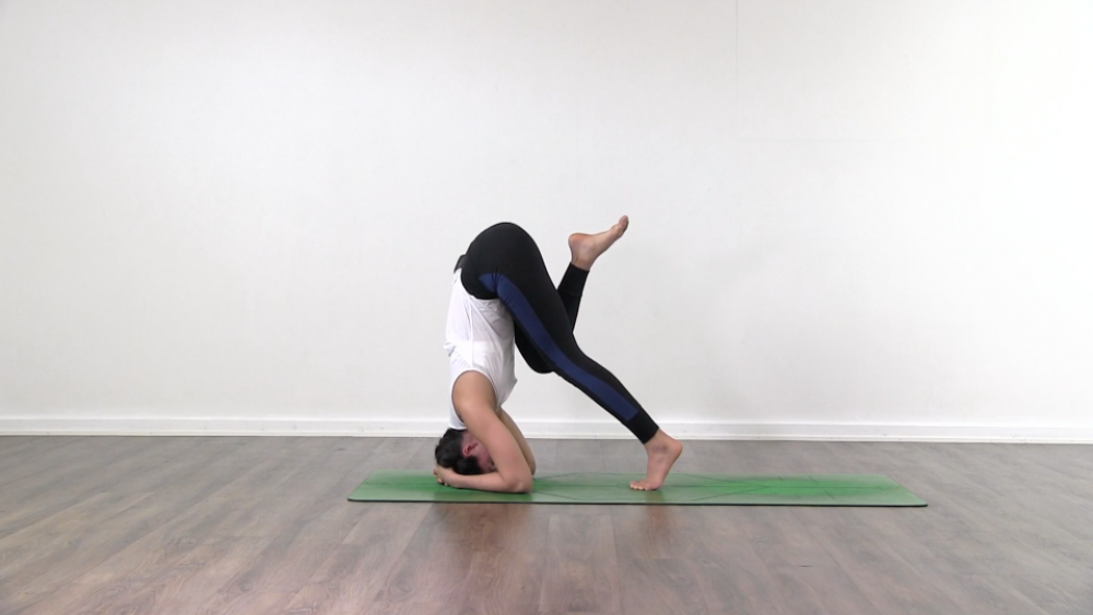 Headstand Preparation_0