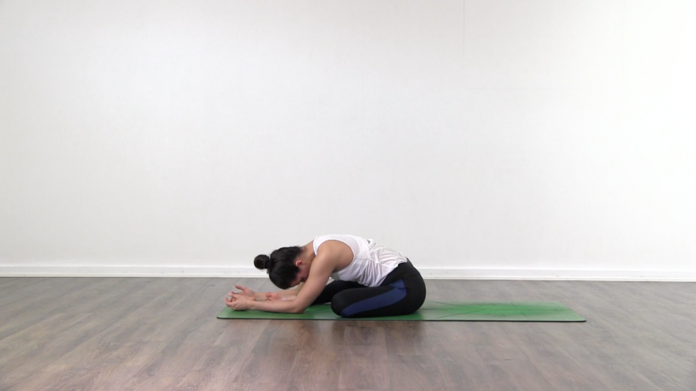 Kurmasana Preparation_1