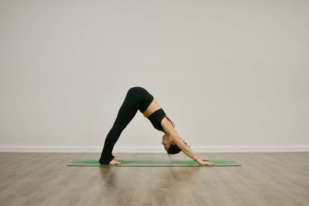 Ashtanga Para Principiantes