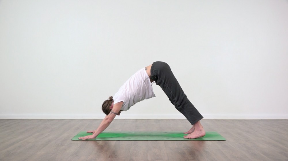 Find Your Downward Dog Shoulders_0