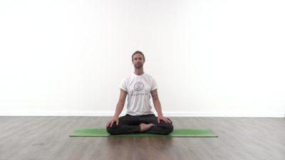 screenshot from online yoga class with yoga teacher at Yogateket yoga studio in Uppsala Sweden