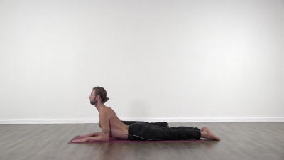 cobra pose hatha yoga